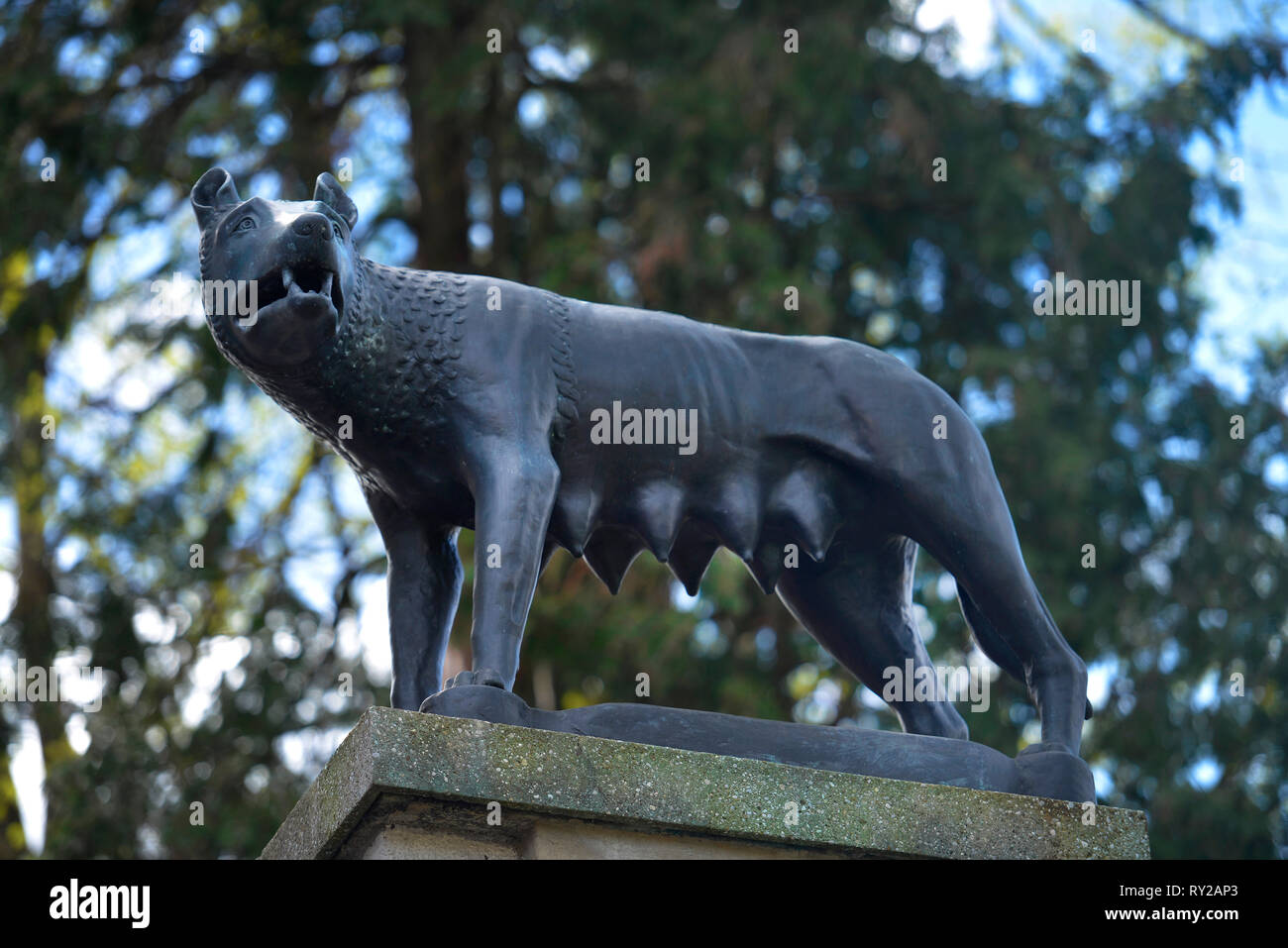 Kapitolinische Woelfin, Museum Villa Stuck, Prinzregentenstraße, Muenchen, Bayern, Deutschland Stockfoto