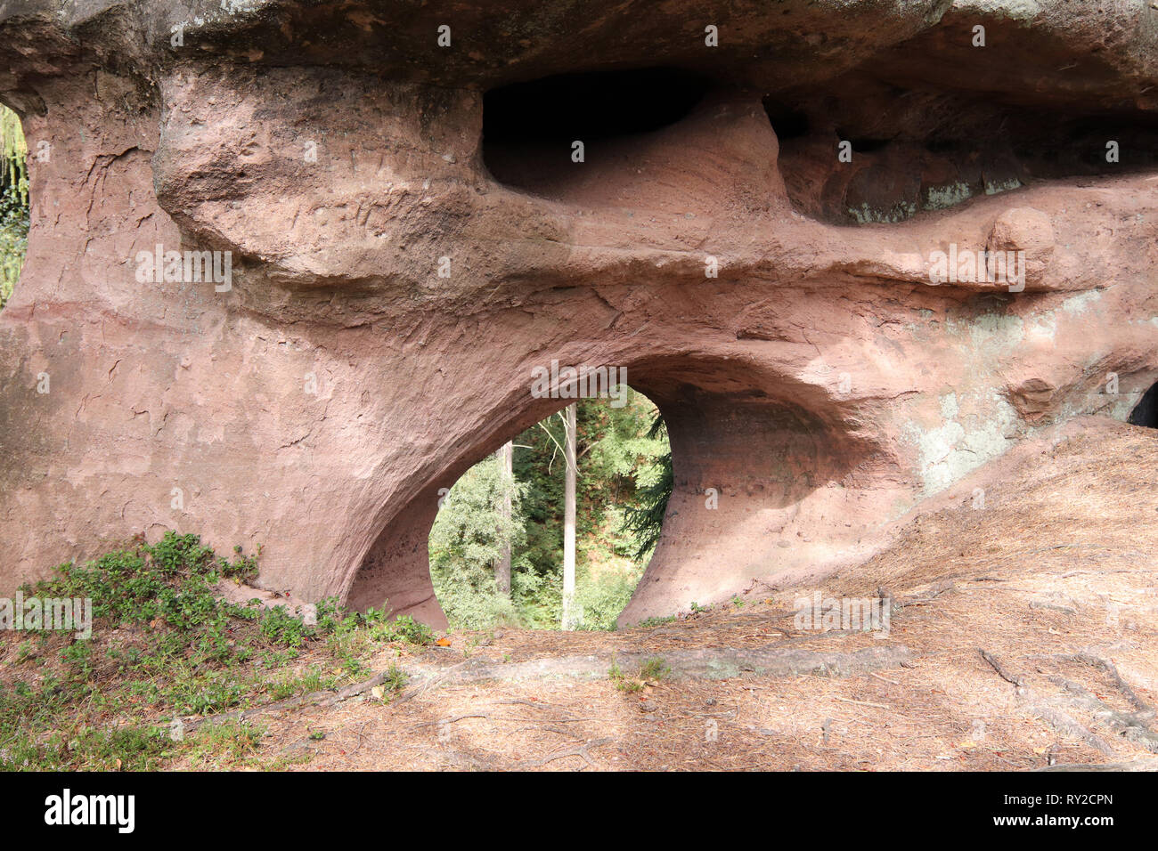 Devilish Felsen, bizarre Felsformationen, Mieroszów, Waldenburg Bezirk, Woiwodschaft Niederschlesien, Polen Stockfoto