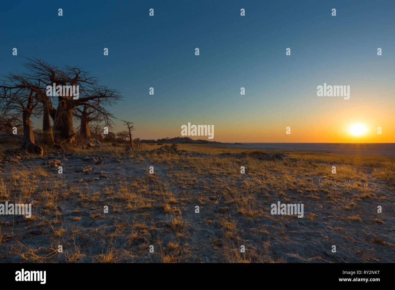 Am frühen Morgensonne Stockfoto