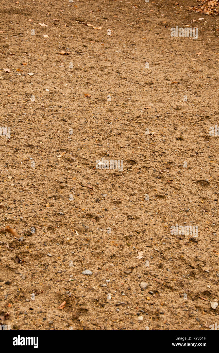 Trockenes Gelände Hintergrund Stockfoto