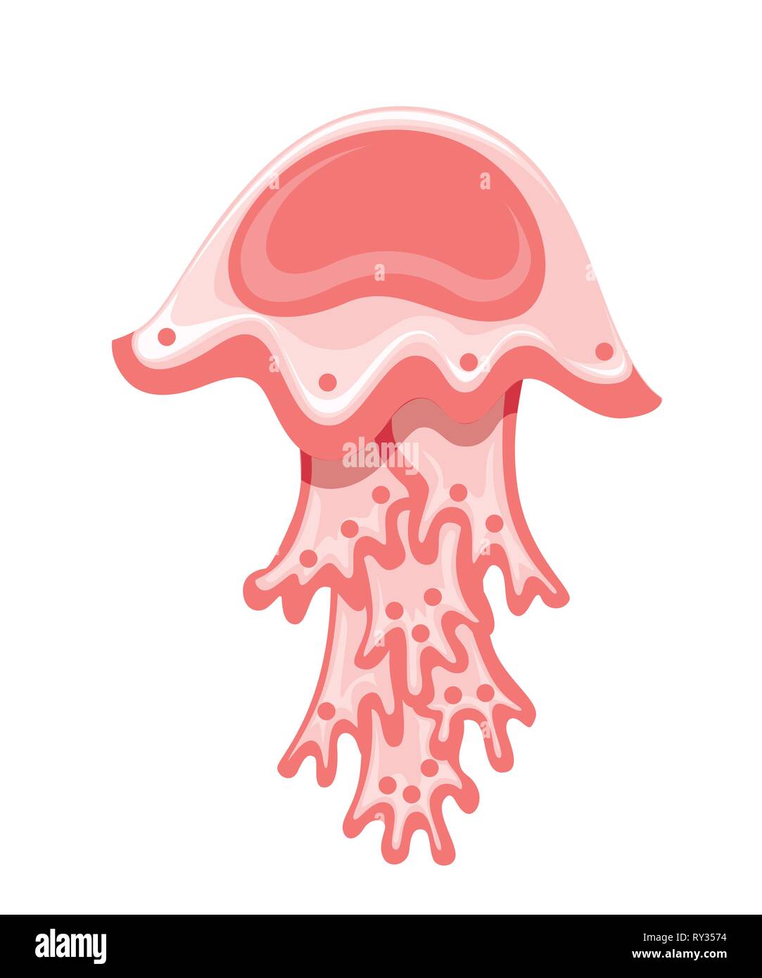 Meer rote Quallen. Tropische Unterwasserwelt Tier. Medusa aquatischen Organismus, cartoon Design. Flache Vector Illustration auf weißem Hintergrund. Stock Vektor