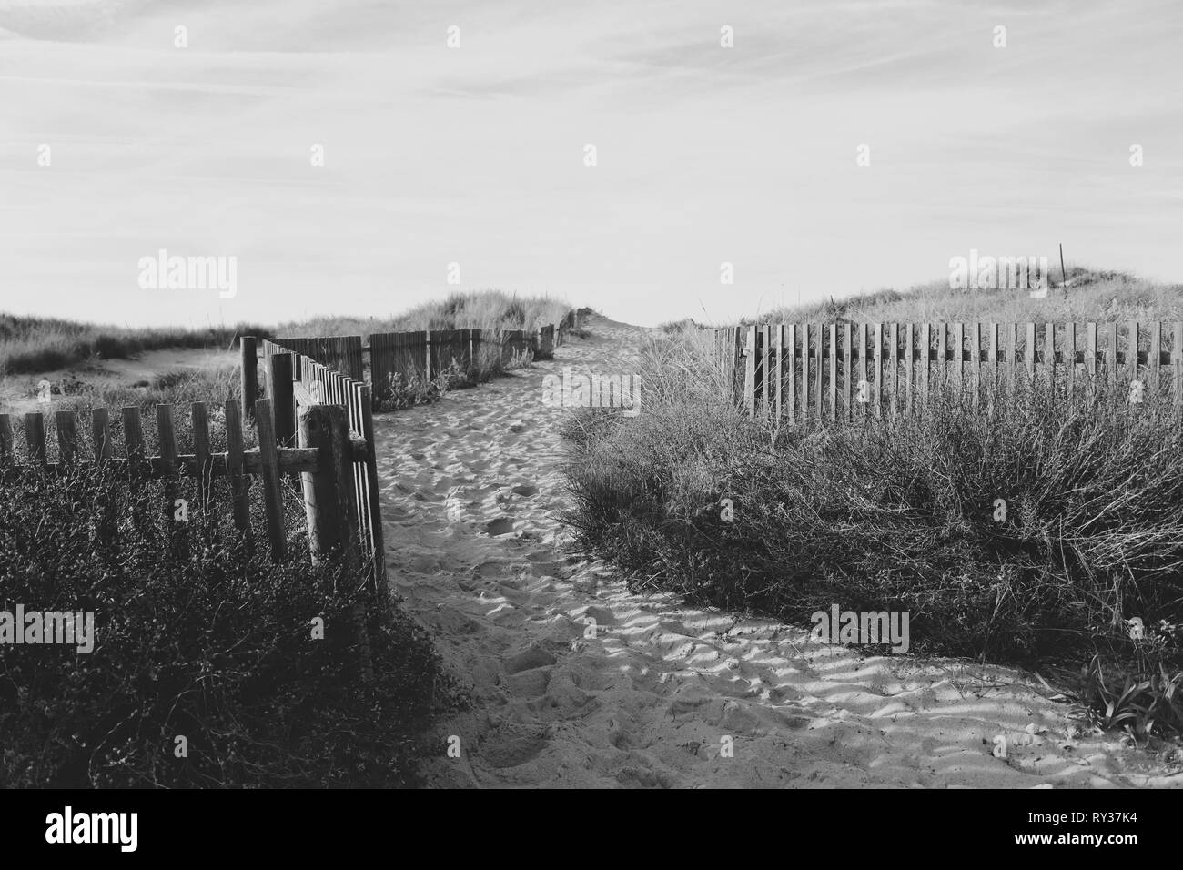 Weg zum Strand durch die Dünen von einem Zaun umgeben Stockfoto