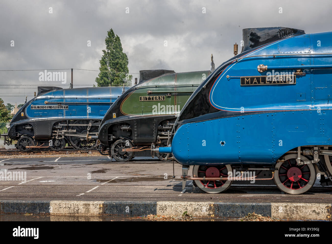 LNER 'A4' 4-6-2 Nr.60007 der ir-Nigel Gresley", Nr. 60019 Rohrdommel und Nr. 4468 "allard", NRM, York Stockfoto