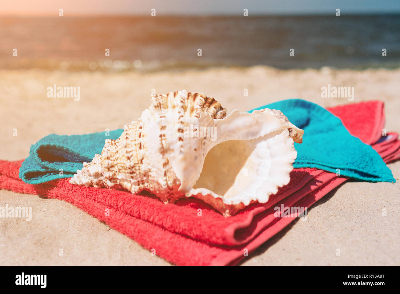 Seashells oncolorful Handtücher am Strand am Meer. Hell draußen. Paradies. Stockfoto