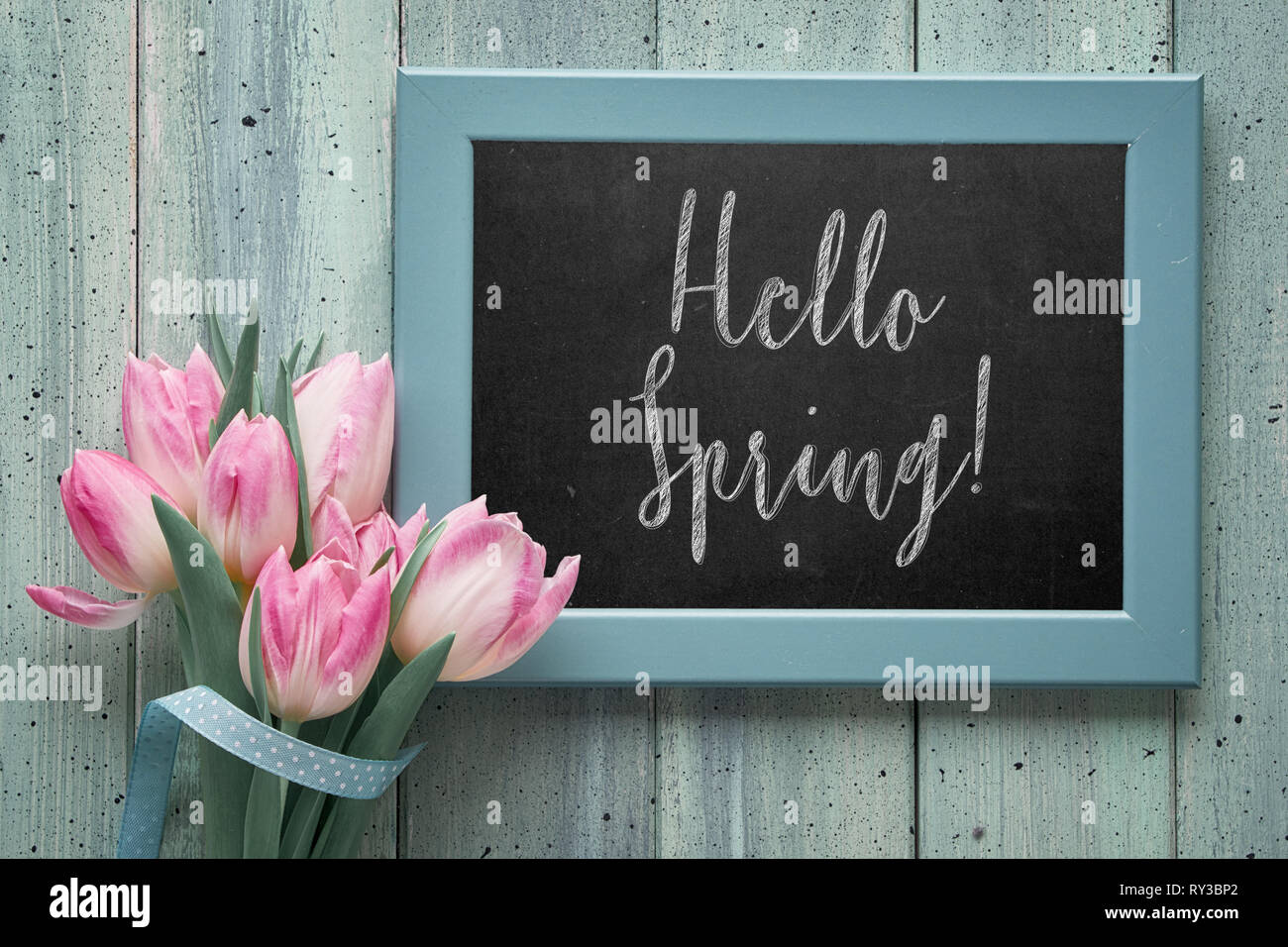 Kreidetafel mit Text "Hallo Frühling' und rosa Tulpen, flach auf hellgrün Bretter legen. Frühling Hintergrund in Pastellfarben. Stockfoto