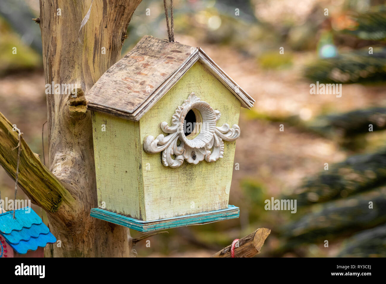 Miniaturen aus Zeder seen Gärten Stockfoto