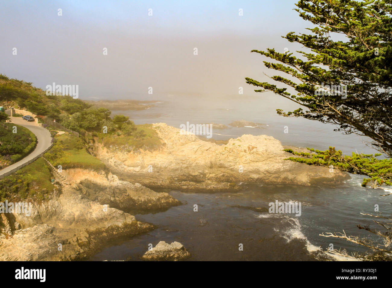 Sonne auf felsigen Küste und Meer Straße in der nebligen Morgen. Malerische Landschaft von hohen Winkel aus dem Hügel gesehen mit grünen Zweigen i Stockfoto