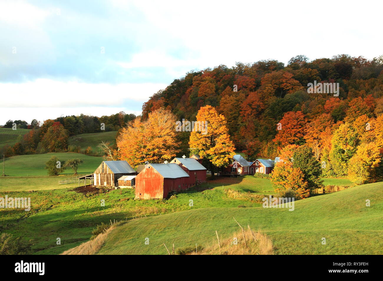 Herbst Bild von Jenny Bauernhof in ländliche Vermont mit Sonnenlicht casting Dramatischen Licht auf die Landschaft. Stockfoto
