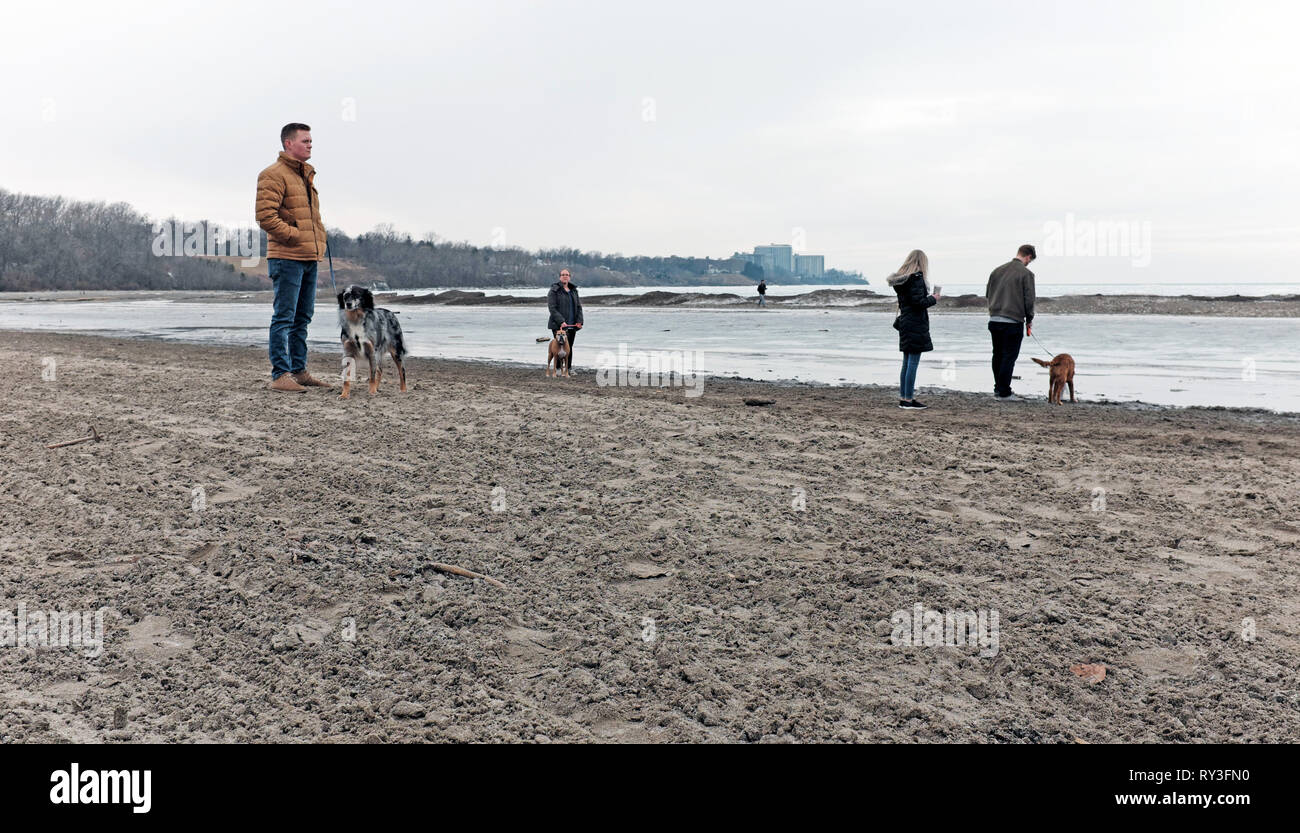 Hunde mit ihren Besitzern stehen auf Edgewater Beach am Ufer des Lake Erie in Cleveland, Ohio, USA im Winter. Stockfoto