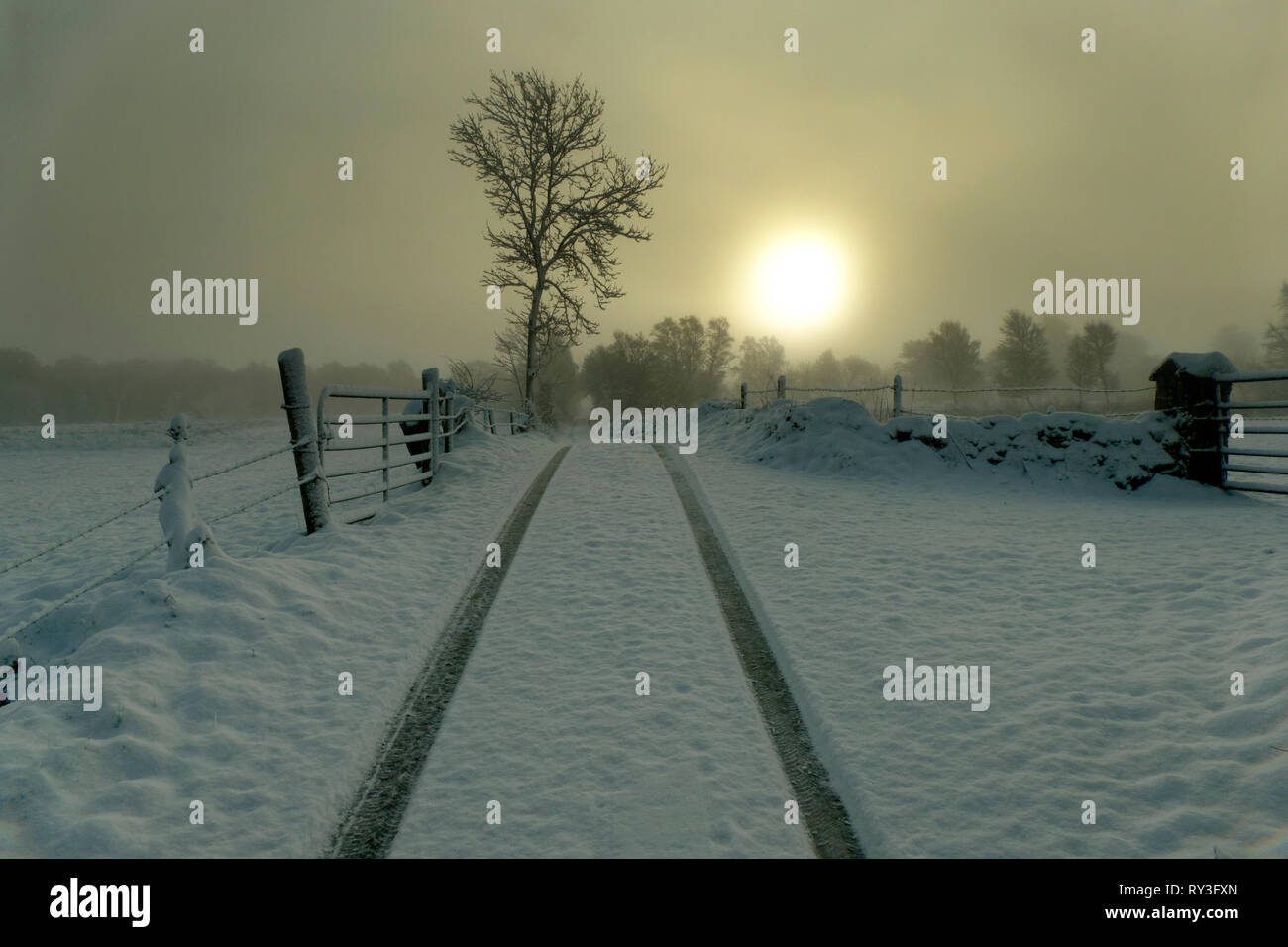 Sonnenaufgang im Winter Landschaft, County Mayo, Irland. Stockfoto