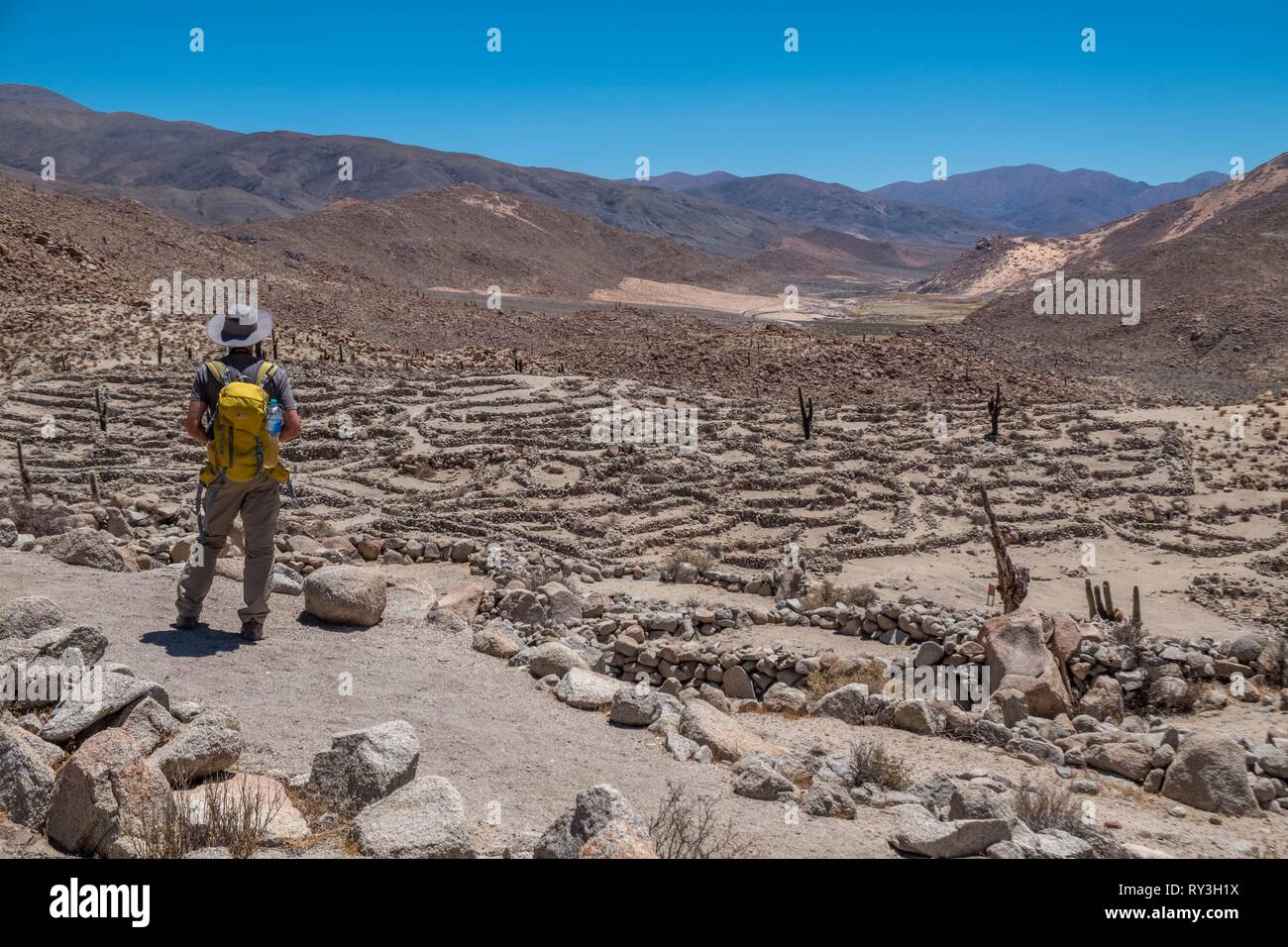 Argentinien, Provinz Salta, Santa Rosa de Tastil, pre-Inka archäologische Stätte von Tastil Stockfoto