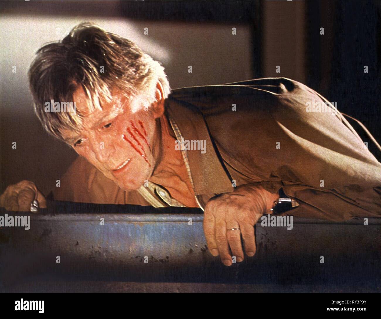 KIRK DOUGLAS, der Fury, 1978 Stockfoto