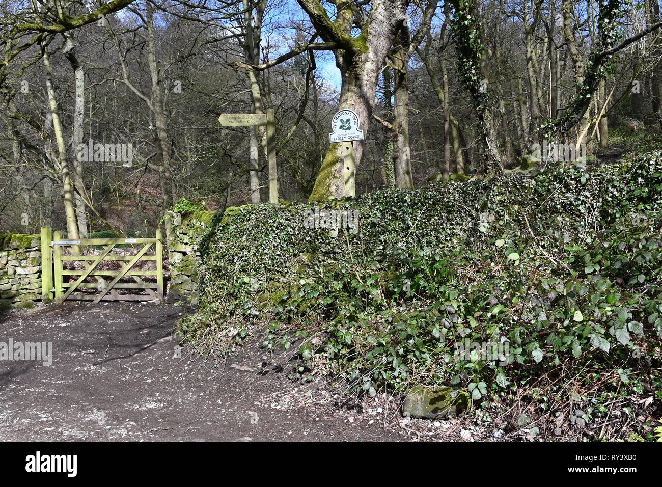 National Trust Land in der Nähe von Grindleford Station in Derbyshire. Stockfoto