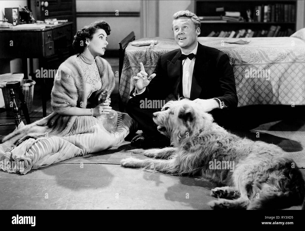 TAYLOR, Johnson, der große Kater, 1950 Stockfoto