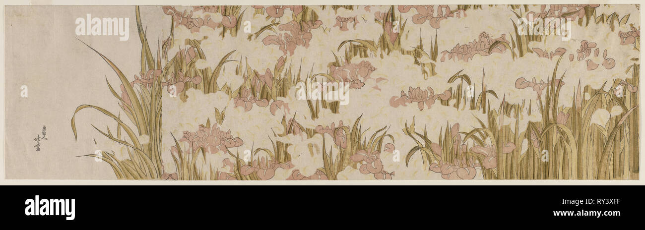 Weiß und Lila Iris, Anfang 1800. Katsushika Hokusai (Japanisch, 1760-1849). Farbe holzschnitt; Blatt: 70,5 x 19,8 cm (27 3/4 x 7 13/16 in Stockfoto