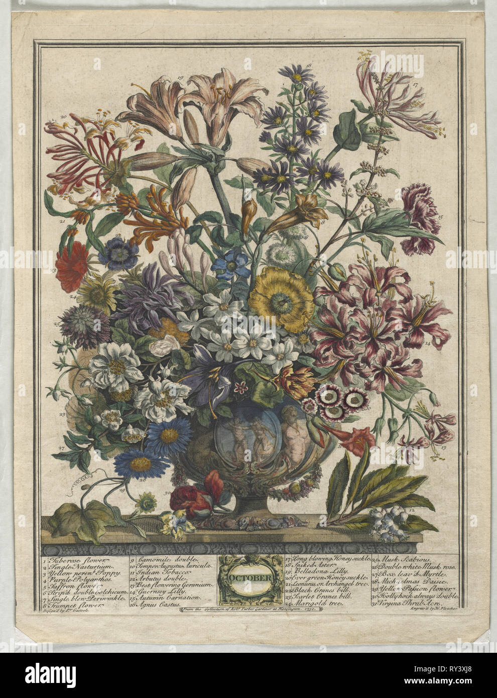 Zwölf Monate der Blumen: Oktober, 1730. Henry Fletcher (Briten, aktive 1715-38). Gravur, von Hand gefärbt; Plattenrand: 41,4 x 31,7 cm (16 5/16 x 12 1/2 in. Stockfoto