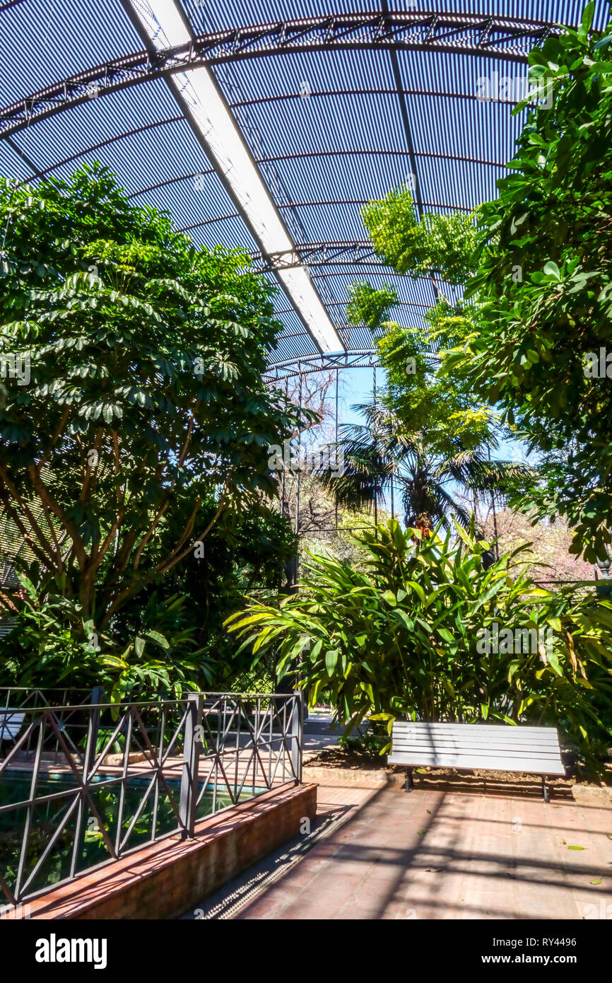 Botanischer Garten Valencia, Schattenhaus im Inneren, tropisch aussehender Garten in Spanien Stockfoto