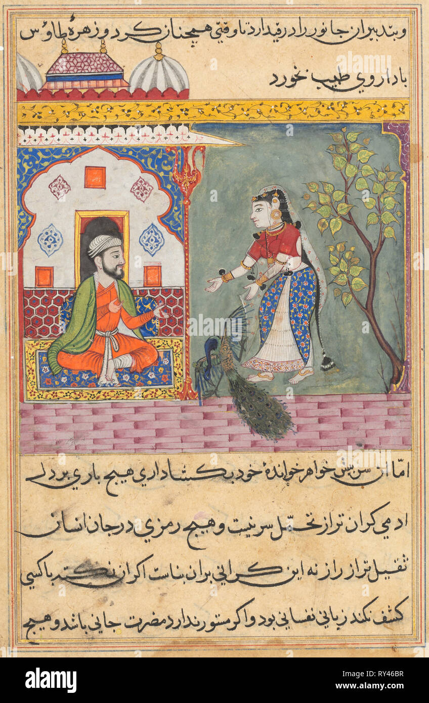 Seite von Geschichten über einen Papagei (Tuti-nama): 19 Nacht: Der Brahmane Frau, die ein Pfau getötet und aß seine Gallenblase auf Rat des Arztes, C. 1560. Indien, Mughal, Herrschaft von Akbar, 16. Opak Aquarell, Tusche und Gold auf Papier Stockfoto