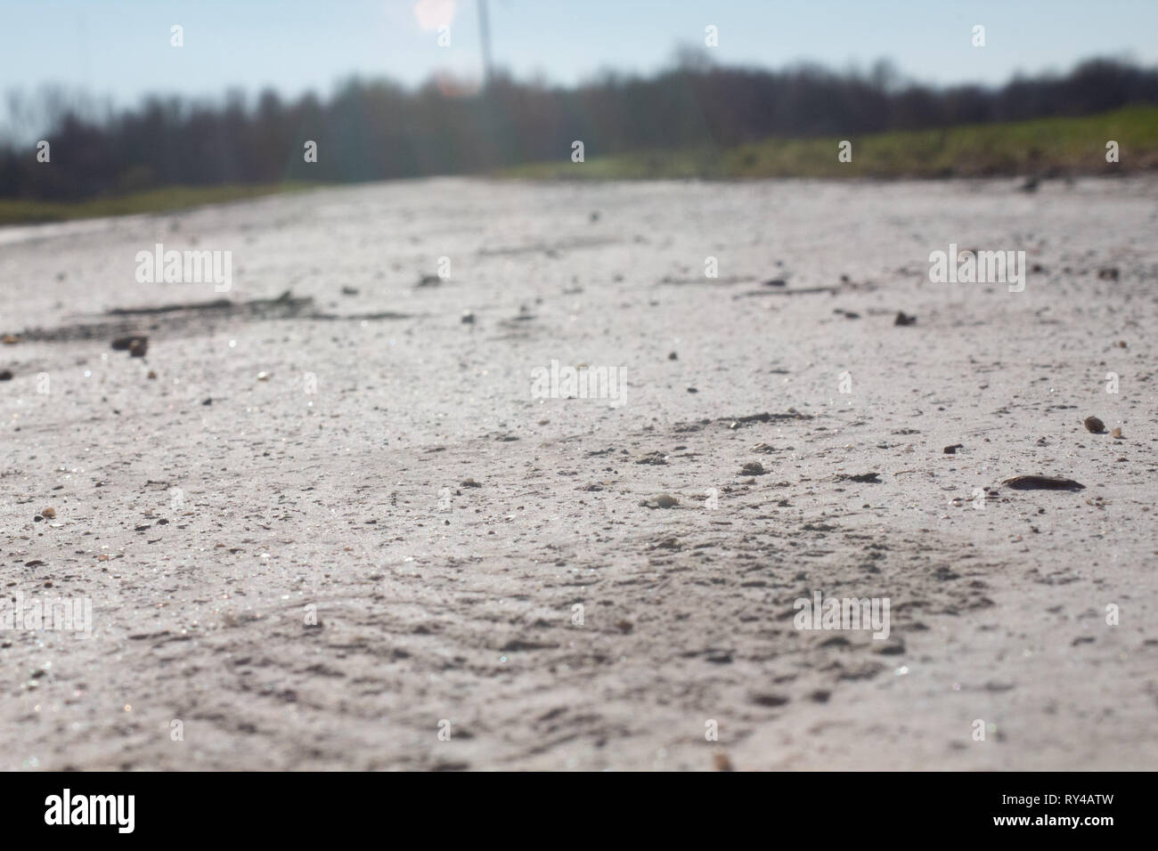 Nahaufnahme Natur Pfad Stockfoto