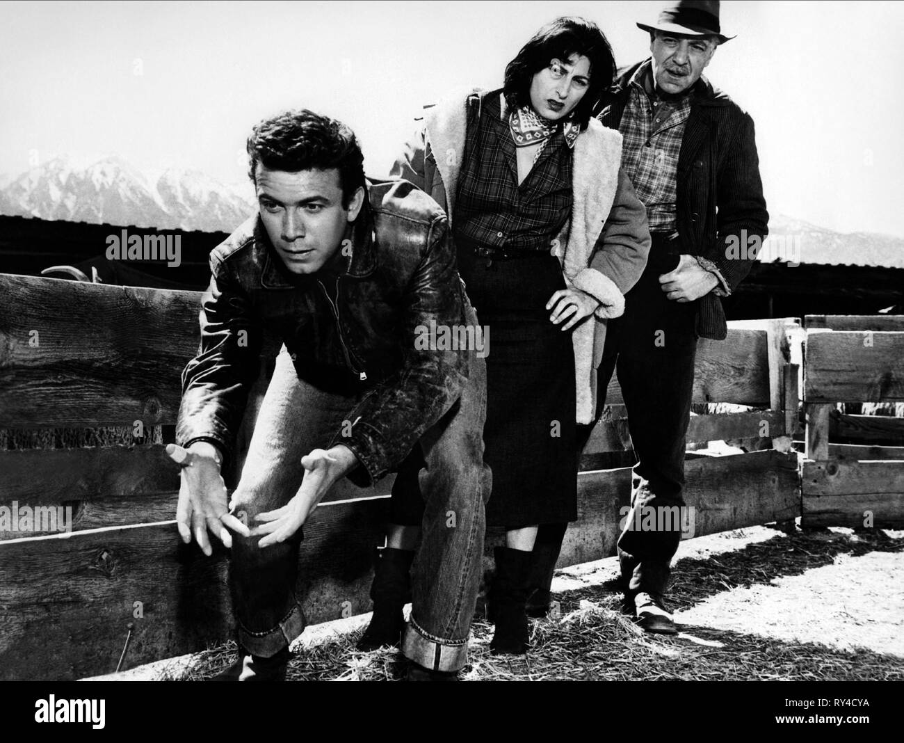 FRANCIOSA, MAGNANI, WILD IST DER WIND, 1957 Stockfoto