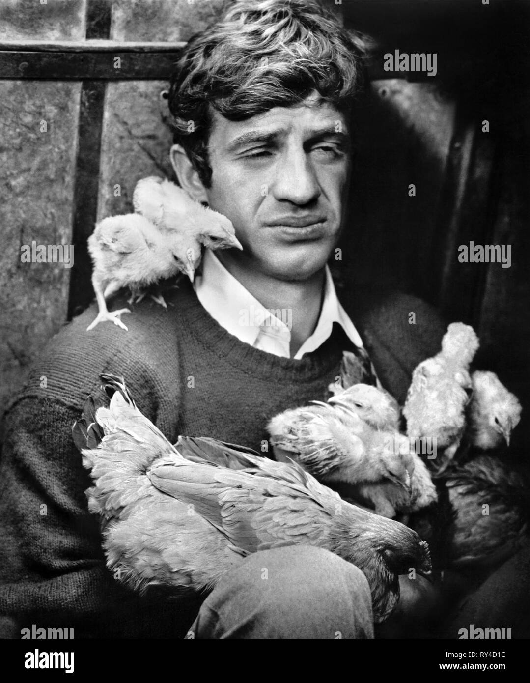 JEAN-PAUL BELMONDO, BIS ZU SEINEN OHREN, 1965 Stockfoto