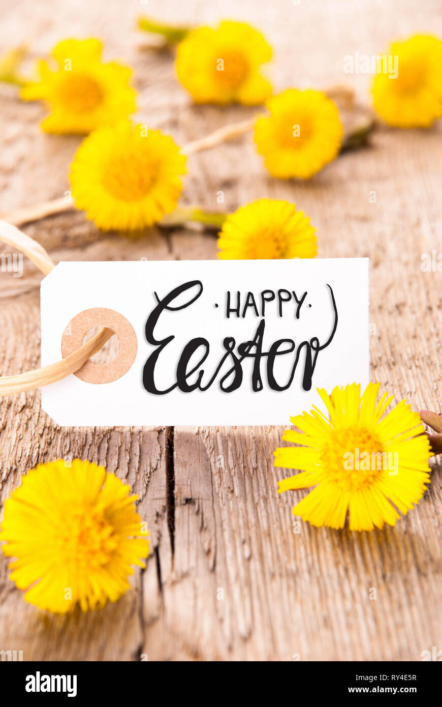 White Label, Löwenzahn, Englisch Kalligraphie Frohe Ostern Stockfoto