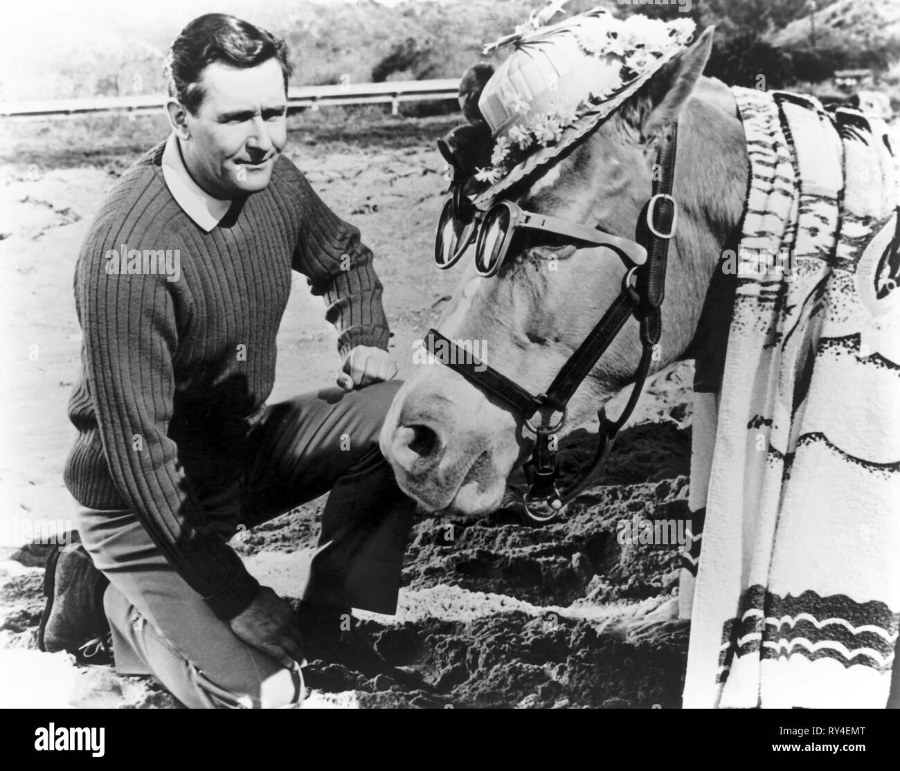 Junge, ED, MISTER ED, 1961 Stockfoto