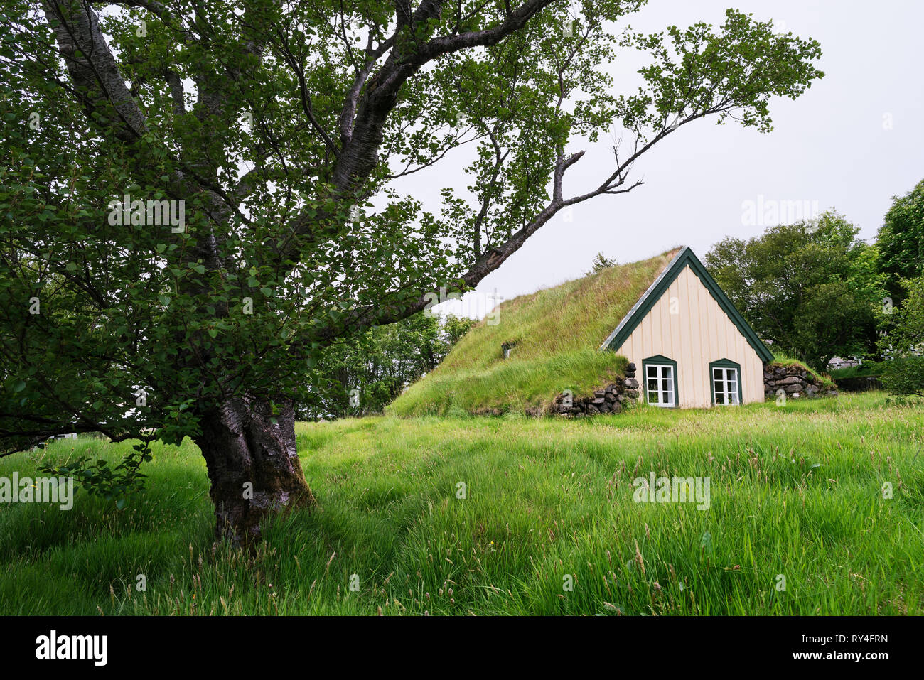 Kirche in Oraefi hofskirkja Rasen im Südosten von Island Stockfoto