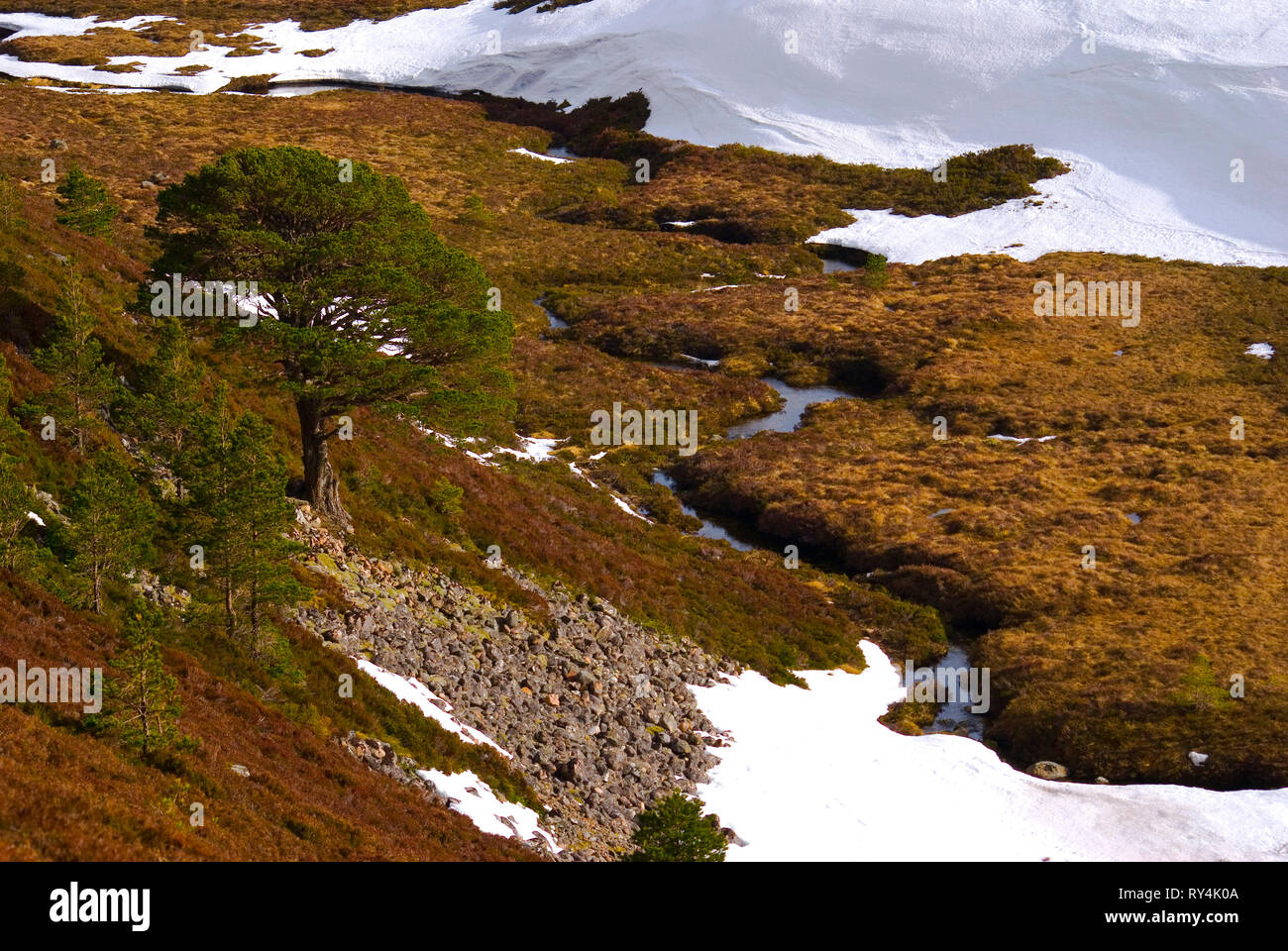 Die Cairngorm Berge (Am Monadh Ruadh) Eastern Highlands von Schottland. Cairngorms National Park Stockfoto