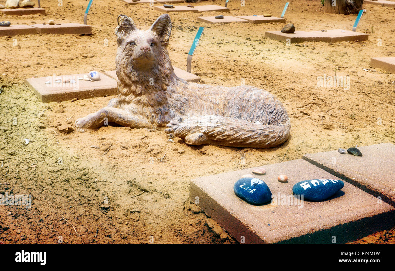 USA, Utah, 24.05.2014: Das Tier Friedhof am besten Freunde Animal Sanctuary, ein lebensrettender Zufluchtsort für Hunderte von anpassungsfähige Tiere in Utah, USA. Stockfoto