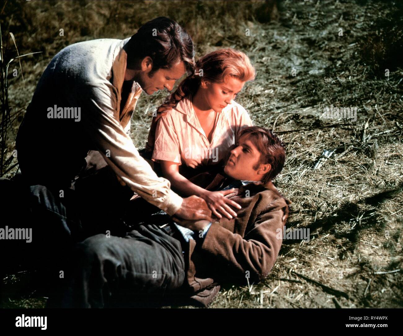 EGAN, Paget, presley, LOVE ME TENDER, 1956 Stockfoto