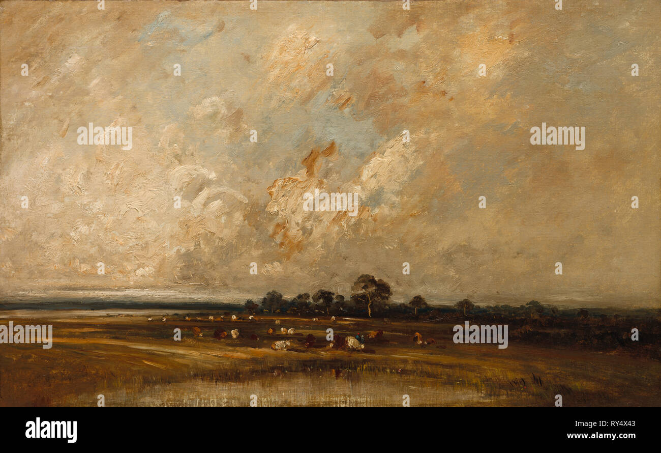Sumpfland, 1860s-1870 s. Jules Dupré (Französisch, 1811-1889). Öl An Gewebe; gerahmt: 60,4 x 88,9 x 7,7 cm (23 3/4 x 35 x 3 1/16 in.); ungerahmt: 46,4 x 74,2 cm (18 1/4 x 29 3/16 in. Stockfoto
