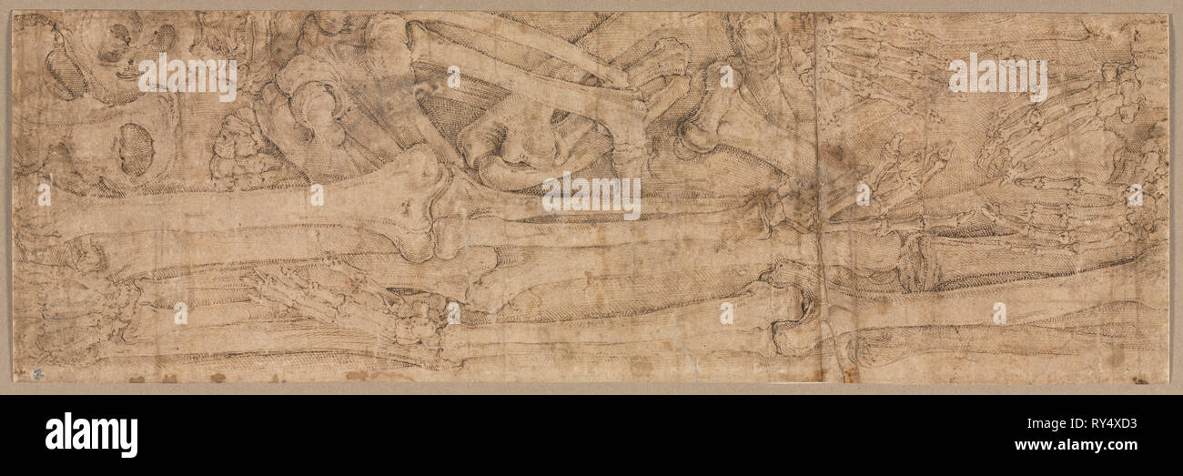 Arm der Knochen, der frühen 1540er Jahre. Battista Franco (Italienisch, C. 1510-1561). Stift- und braun-Tinte mit Spuren von Graphit; Blatt: 11,8 x 36,7 cm (4 5/8 x 14 5/6 in.); sekundäre Support: 11,8 x 36,7 cm (4 5/8 x 14 7/16 Stockfoto
