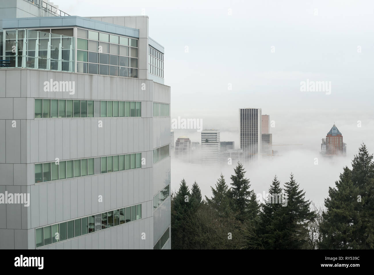 Shriners Krankenhaus der Kinder und die Innenstadt von Portland Gebäude in einem Meer von Nebel, Portland, Oregon. Stockfoto