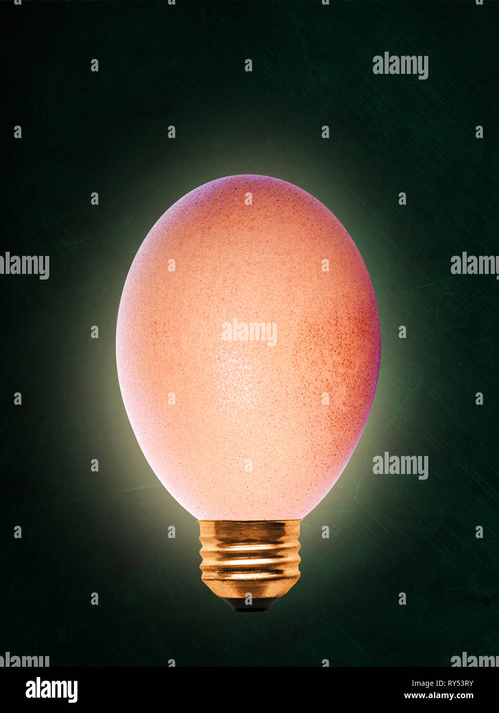 Abstrakte Idee einer elektrischen Glühbirne aus braunem Ei auf schiefertafel Hintergrund mit kopieren. Stockfoto