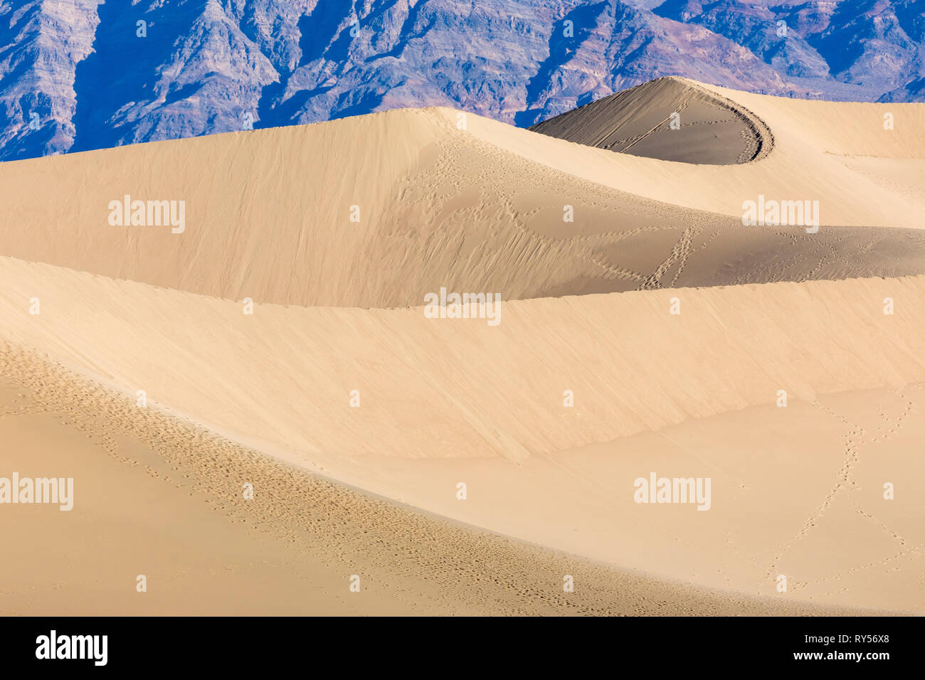 Riesige Fläche von Berg gesäumten Sanddünen erreichen 100 ft. & Ein Hauptpunkt für Sand-boarding. Stockfoto