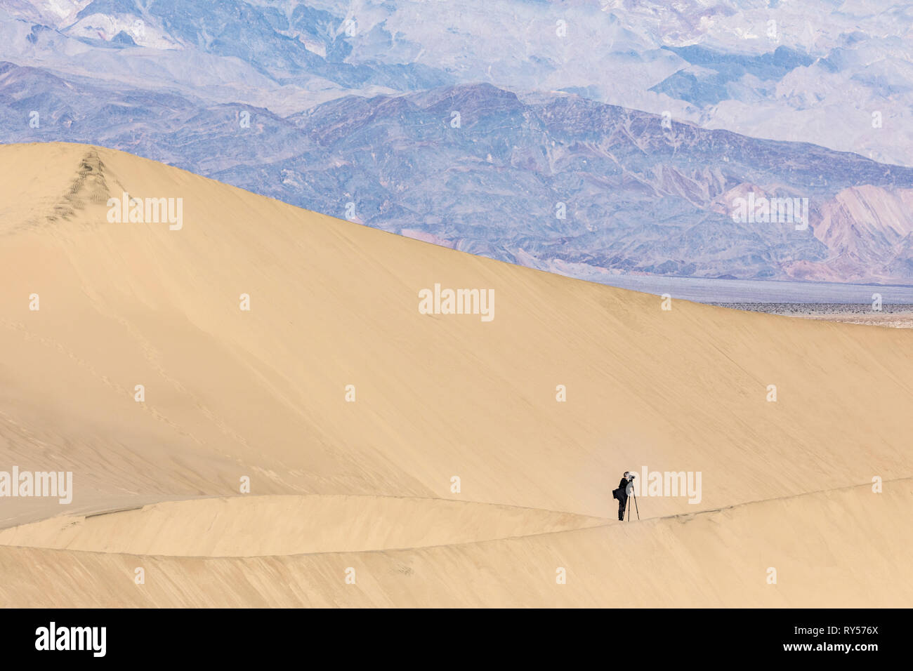 Mesquite Flat Sand Dunes ist ein ausgedehntes Gebiet von berggesäumten Sanddünen, die 100 Fuß erreichen und ein idealer Ort für Wanderer und Fotografen. Stockfoto
