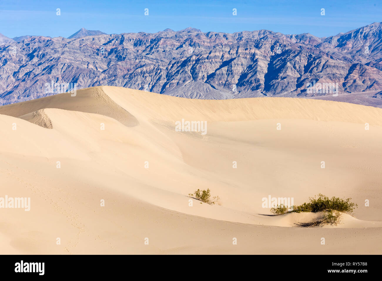 Mesquite Flat Sand Dunes ist ein ausgedehntes Gebiet mit berggesäumten Sanddünen im Death Valley und ein beliebtes Touristenziel für Wanderer und Fotografen. Stockfoto