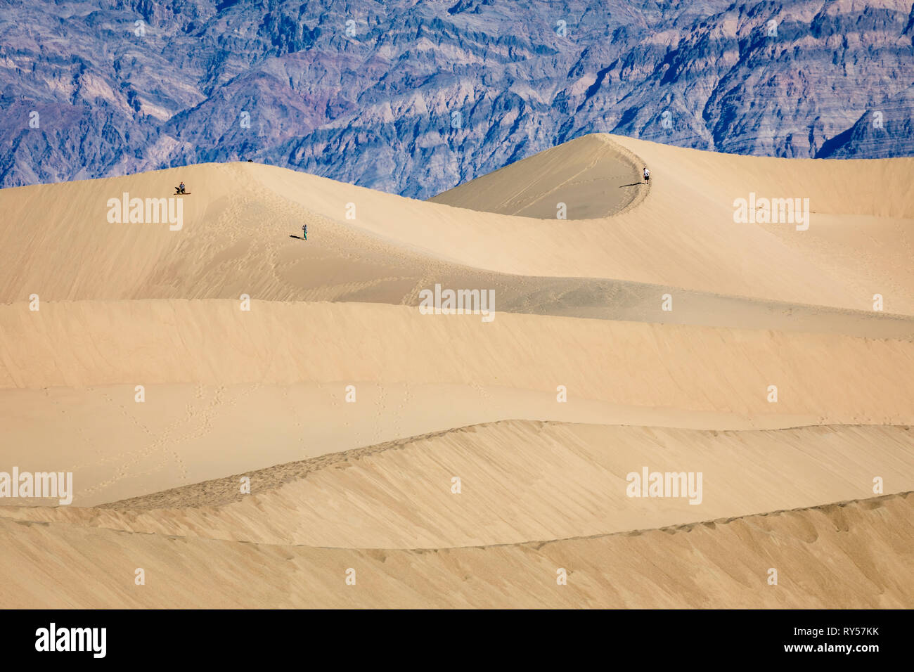 Riesige Fläche von Berg gesäumten Sanddünen erreichen 100 ft. & Ein Hauptpunkt für Sand-boarding. Stockfoto