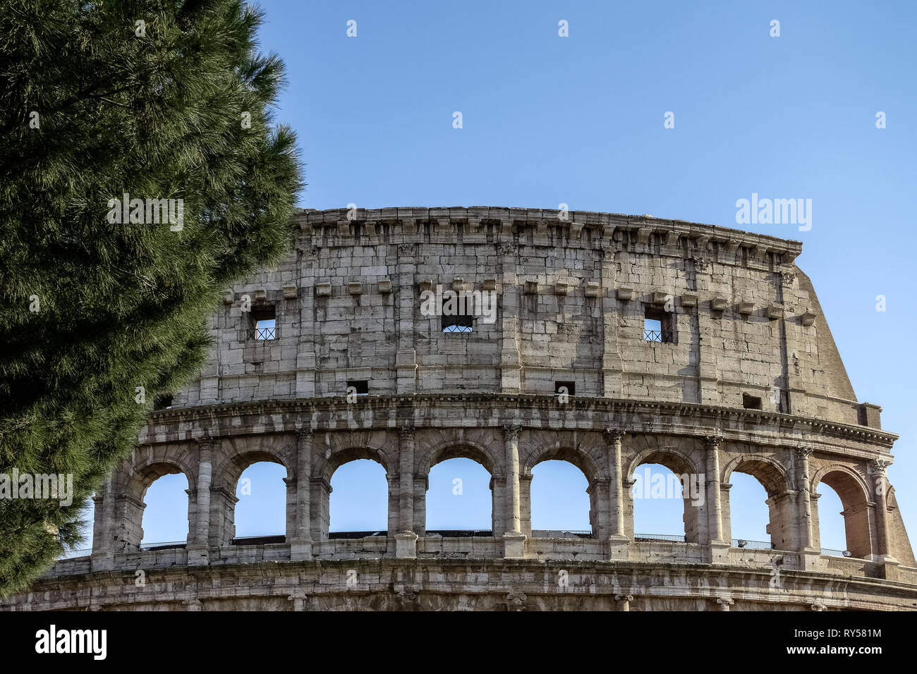 Nahaufnahme von der Außenseite des Römischen Kolosseum (auch als Flavischen Amphitheater bekannt). UNESCO. Typisch römischen Kiefer. Colosseo. Rom, Italien, Europa Stockfoto