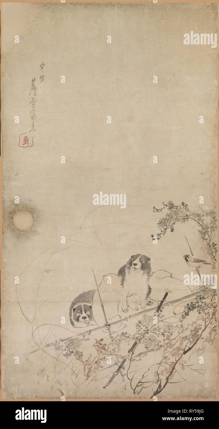 Welpen, Spatzen und Chrysanthemen, 1754-1799. Japan, Edo Periode (1615-1868). Fusuma montiert als Hängerolle, Tusche und leichte Farbe auf Papier Stockfoto
