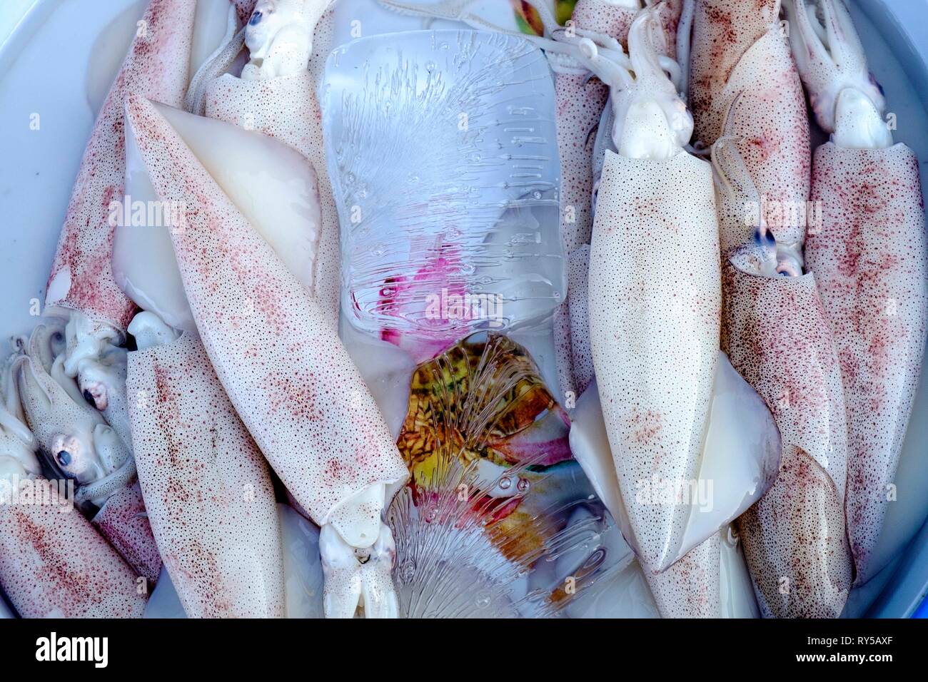 Vietnam, Mekong Delta, Sadec, Markt Stockfoto