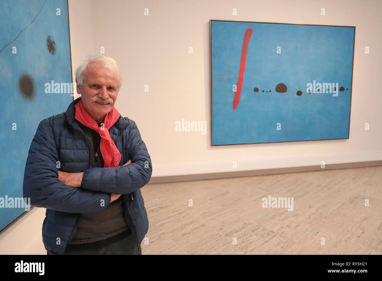 YANN ARTHUS-BERTRAND MIRO'S Ausstellung Grand Palais Museum PARIS Stockfoto