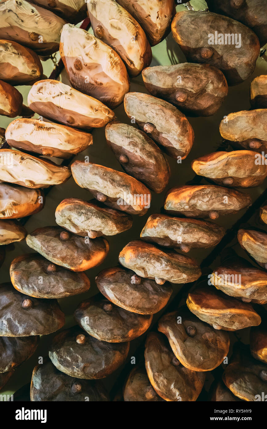 Hängende italienische Trocken - Schinken Prosciutto im Shop. Italienische Küche Stockfoto