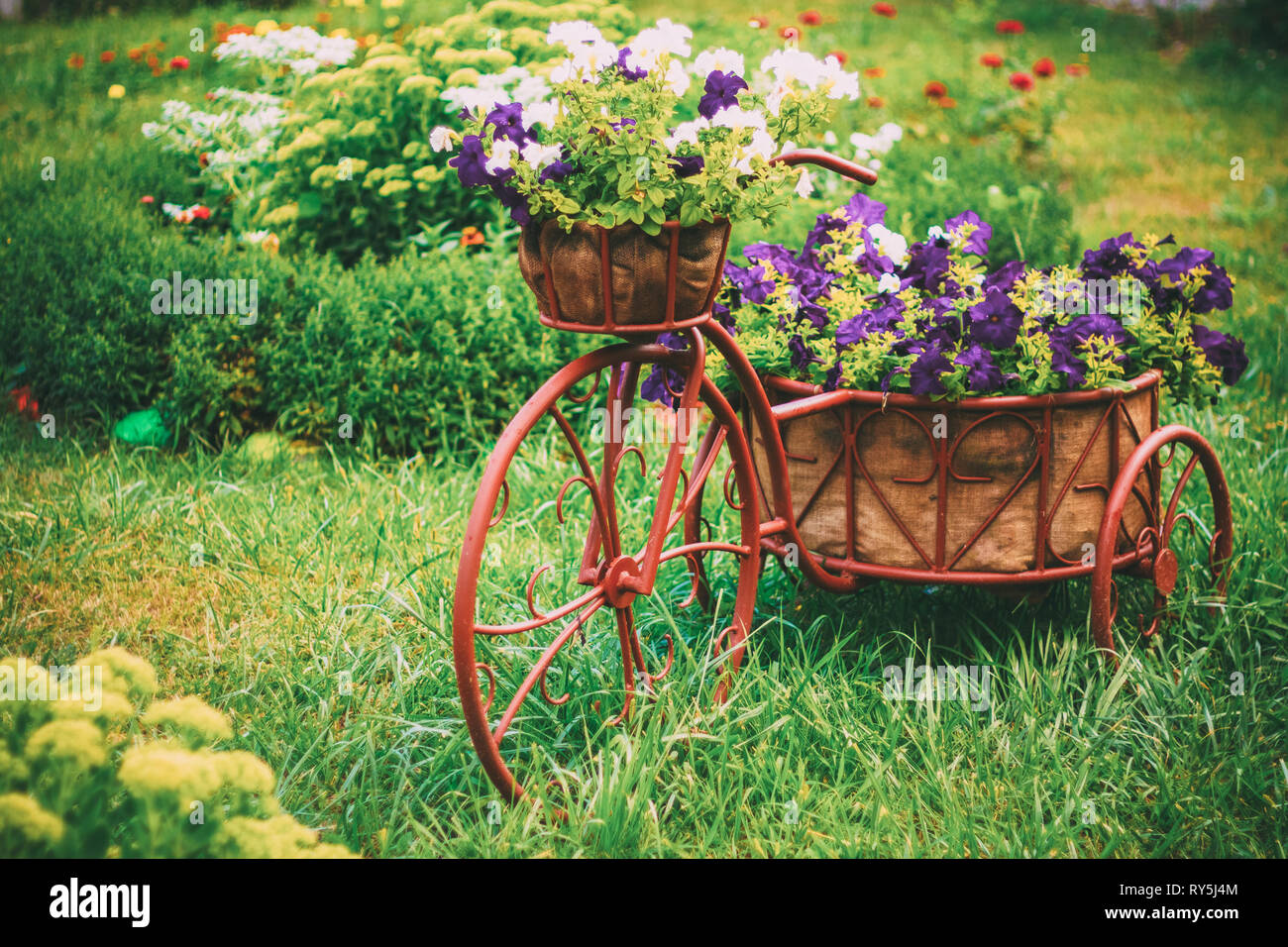 Fahrrad in einem Garten Stockfoto