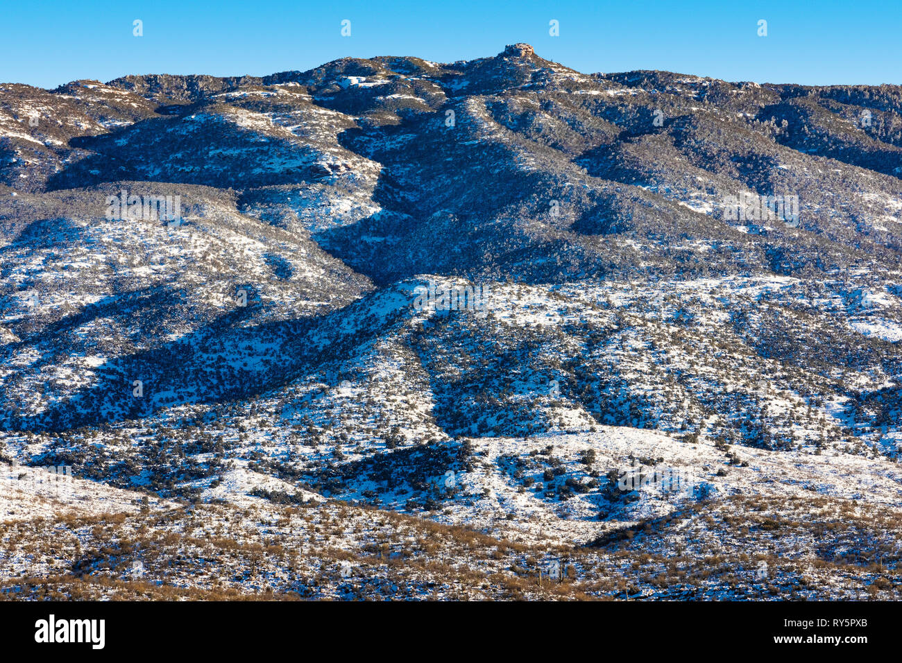 Rincon Mountains mit frischem Schnee, Redington, Tucson, Arizona Stockfoto