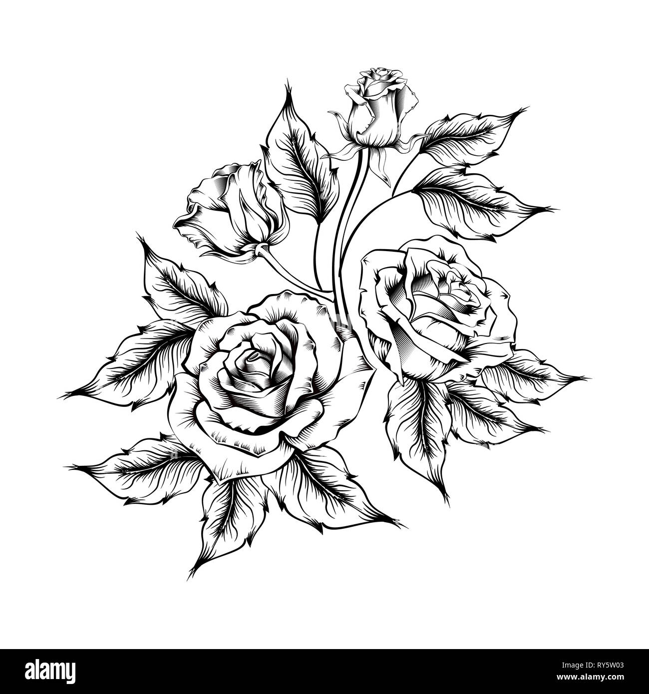 Rose Tattoo. Silhouette von Rosen und Blätter auf einem weißen Hintergrund.  Linework Stil. Muster der Rosen Stockfotografie - Alamy