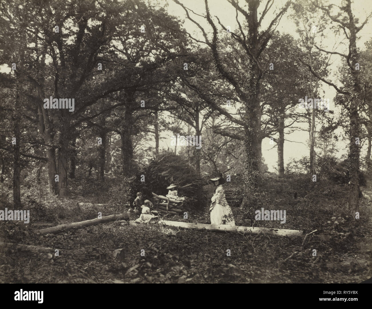 Landschaft, 1856. Henry White (British, 1819-1903). Eiweiß Drucken von nassen Collodium negativ; Bild: 19 x 25 cm (7 1/2 x 9 13/16 in.); verfilzt: 50,8 x 61 cm (20 x 24 Zoll Stockfoto