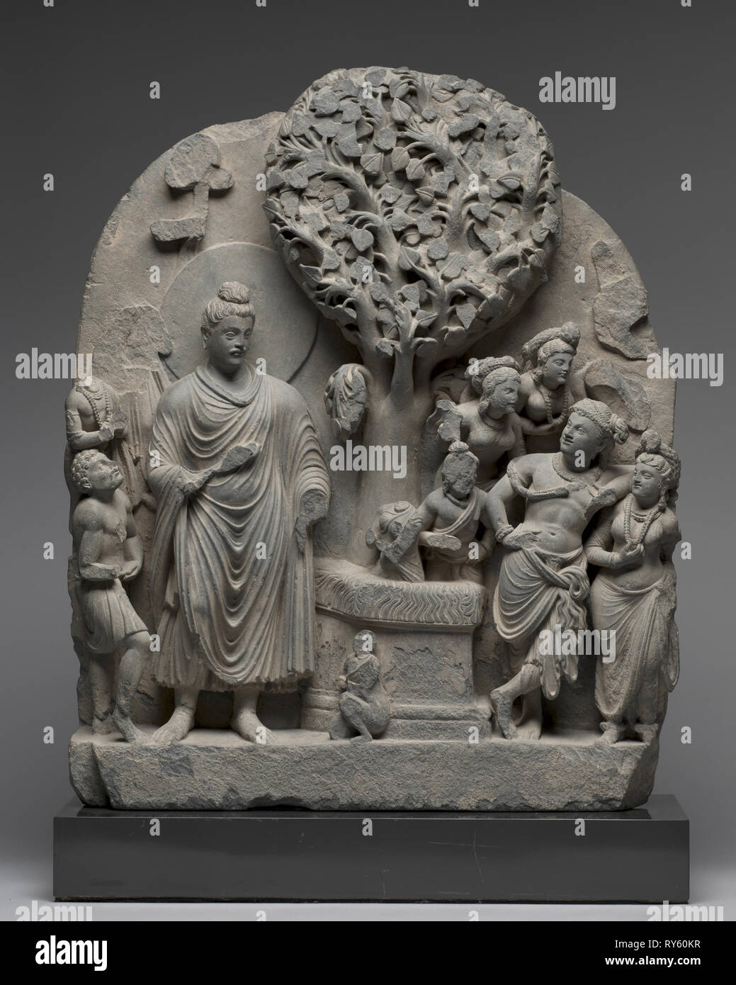 Der bodhibaum Fotos und Bildmaterial in hoher Auflösung Alamy