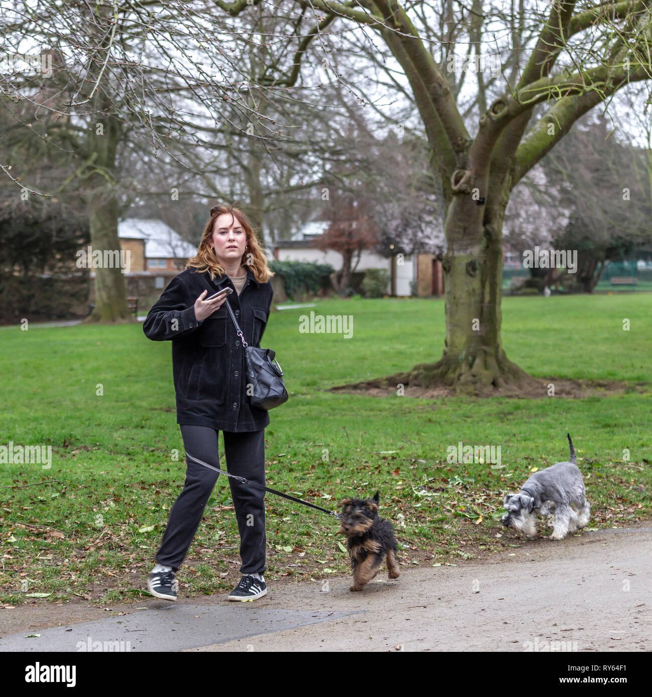 Northampton. Vereinigtes Königreich 12. März 2019. Abington Park. Die Menschen aus der Ausübung dieser Morgen als Sturm Gareth wird erwartet, dass Großbritannien heute zu schlagen, die Windstärke Winde und sintflutartige Regenfälle. Credit: Keith J Smith./Alamy leben Nachrichten Stockfoto